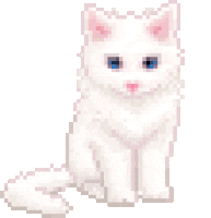 cat-cute