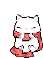 cat-in-a-scarf
