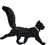 cat-walking