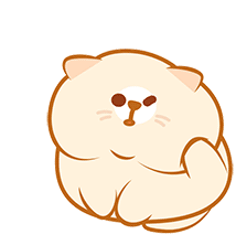 kitty-scratch