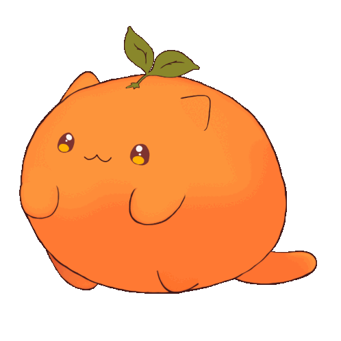 orange-cat-orange