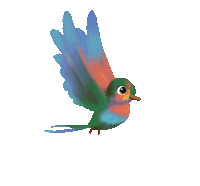 rainbow-bird