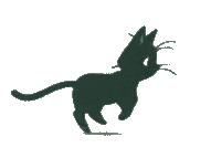 shadow-cat